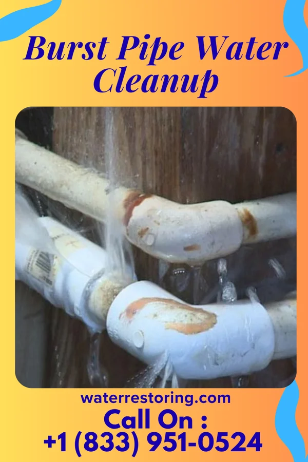 Burst Pipe Water Cleanup in Sanctuary, TX