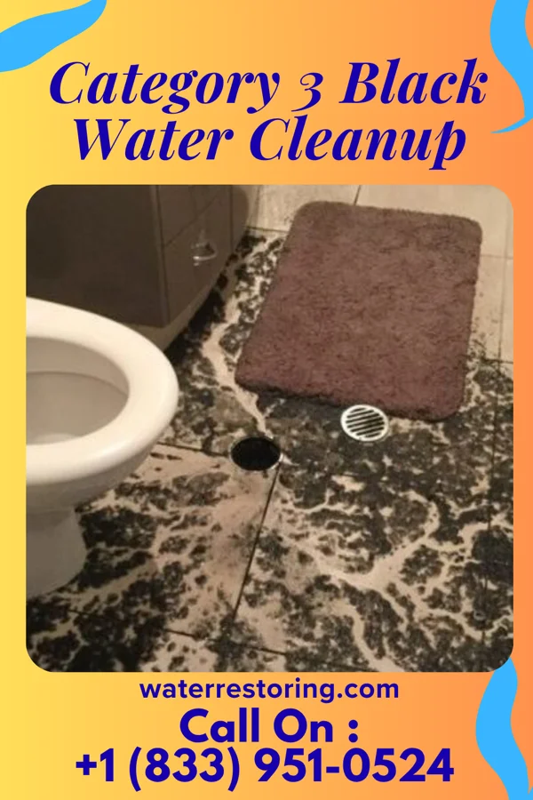 Category 3 Black Water Cleanup in Sanctuary, TX