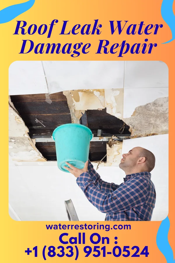 Roof Leak Water Damage Repair in Sanctuary, TX